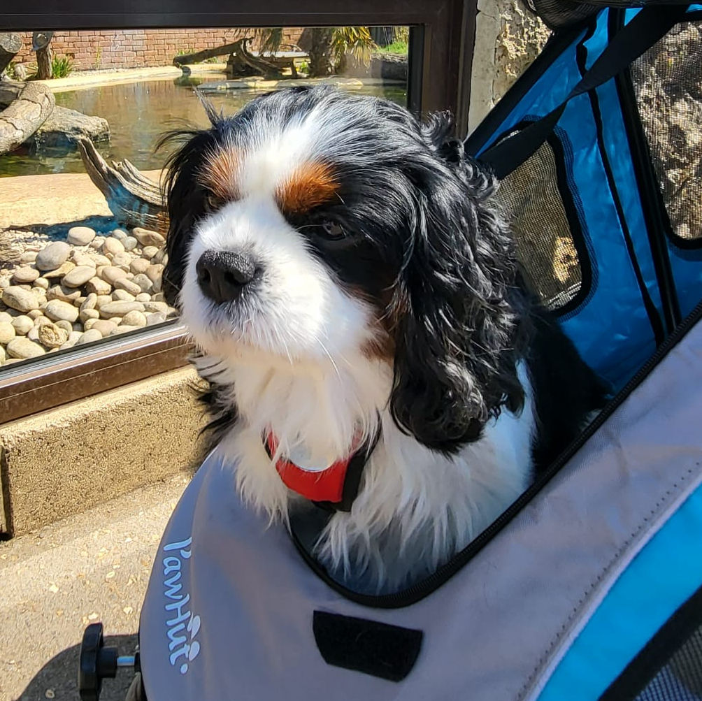 2024_2025 - Murphy - 22